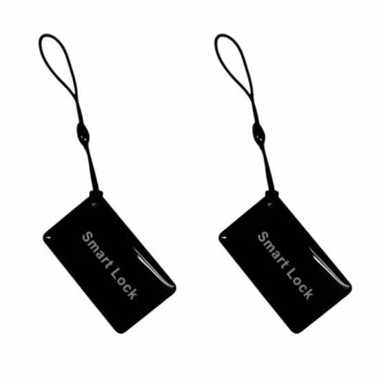Chaveiro inteligente personalizado à prova d'água Hf UHF Proximidade Fabricantes RFID Chaveiro Tag Universal NFC Chaveiro Fob