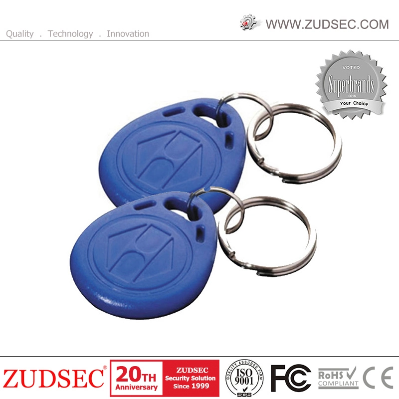 125kHz Chips ID Card RFID Tag /Key Fobs